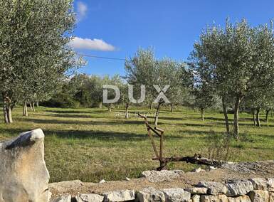 Zemljiste, Poreč, prodaja, 125000 €, 856 m2