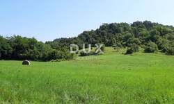 Kuca, Pazin, Stari Pazin, prodaja, 349200 €, 172 m2