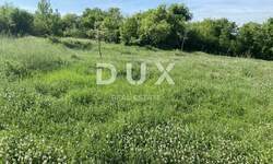 Zemljiste, Barban, Šajini, prodaja, 125000 €, 2216 m2