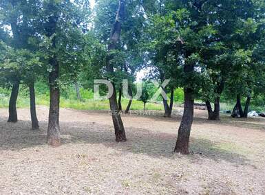 Zemljiste, Marčana, Divšići, prodaja, 46000 €, 5078 m2