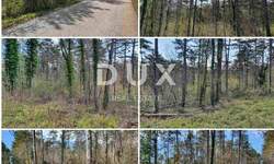 Zemljiste, Grožnjan, Završje, prodaja, 37920 €, 10514 m2