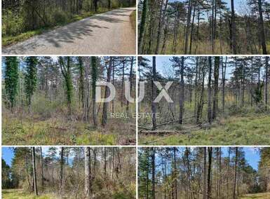 Zemljiste, Grožnjan, Završje, prodaja, 37920 €, 10514 m2