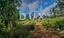 Zemljiste, Žminj, prodaja, 220000 €, 5812 m2