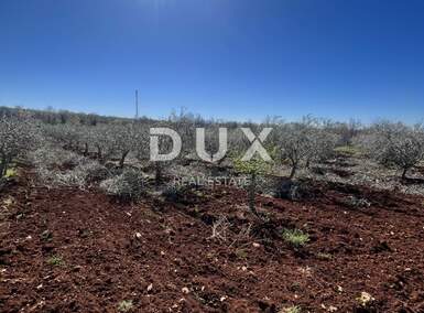 Zemljiste, Kaštelir-Labinci, Labinci, prodaja, 42600 €, 744 m2