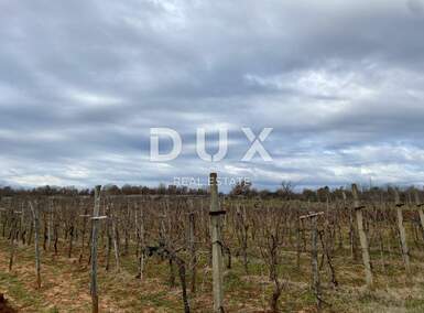 Zemljiste, Umag, Kmeti, prodaja, 50000 €, 1912 m2