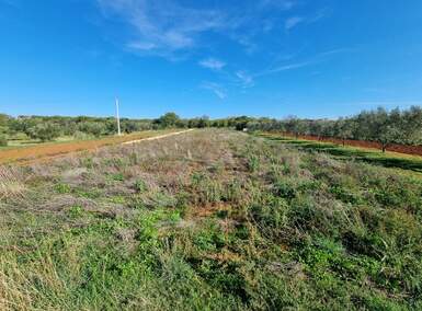 Zemljiste, Pula, Škatari, prodaja, 23000 €, 732 m2