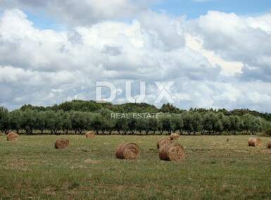 Zemljiste, Pula, Centar, prodaja, 1144000 €, 16000 m2