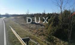 Zemljiste, Žminj, prodaja, 280000 €, 40000 m2