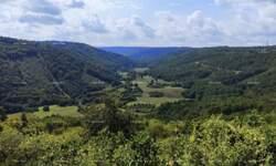 Zemljiste, Tinjan, prodaja, 149000 €, 0 m2