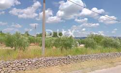 Zemljiste, Novigrad, Pridraga, prodaja, 87000 €, 1338 m2