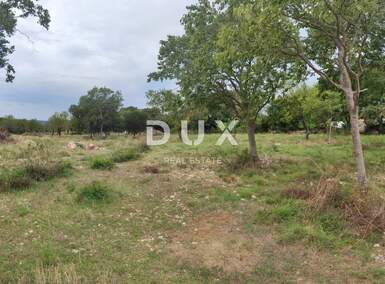 Zemljiste, Benkovac, Tinj, prodaja, 110000 €, 1800 m2