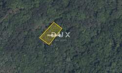 Zemljiste, Cerovlje, Novaki Pazinski, prodaja, 6000 €, 2431 m2