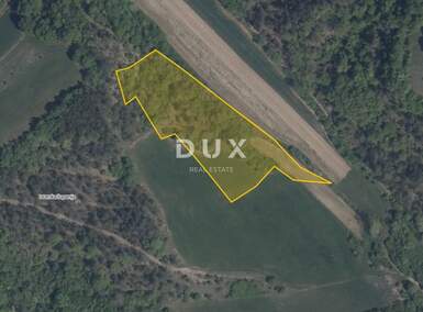 Zemljiste, Cerovlje, Novaki Pazinski, prodaja, 20000 €, 8919 m2