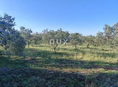 Zemljiste, Zadar, Crvene kuće, prodaja, 1357180 €, 6169 m2