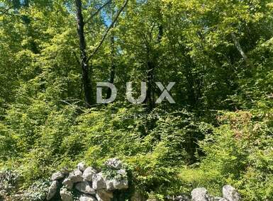 Zemljiste, Dobrinj, Sužan, prodaja, 68399 €, 2630 m2