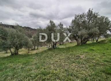 Zemljiste, Cerovlje, Grimalda, prodaja, 23500 €, 2529 m2