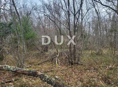 Zemljiste, Buzet, Sveti Donat, prodaja, 73000 €, 14858 m2