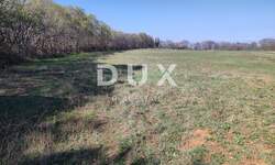 Zemljiste, Ližnjan, Muntić, prodaja, 273000 €, 10504 m2