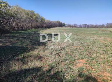 Zemljiste, Ližnjan, Muntić, prodaja, 273000 €, 10504 m2