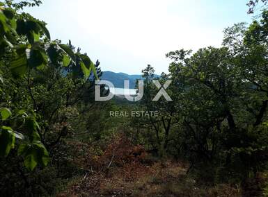 Zemljiste, Buzet, prodaja, 15000 €, 1427 m2