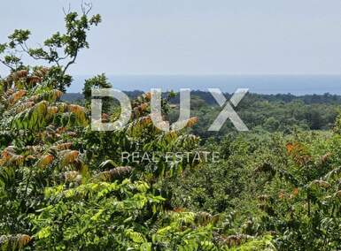 Zemljiste, Buje, prodaja, 1000000 €, 5000 m2