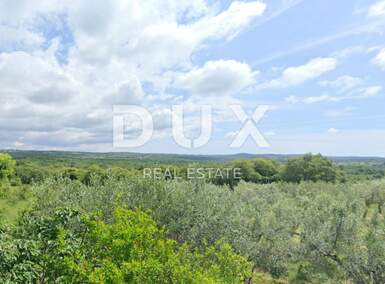 Zemljiste, Sveti Lovreč, prodaja, 165000 €, 4980 m2