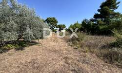 Zemljiste, Privlaka, prodaja, 93900 €, 626 m2