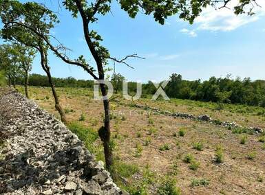 Zemljiste, Raša, Sveti Lovreč Labinski, prodaja, 1125000 €, 8600 m2