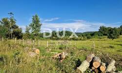 Zemljiste, Grožnjan, prodaja, 216000 €, 3645 m2