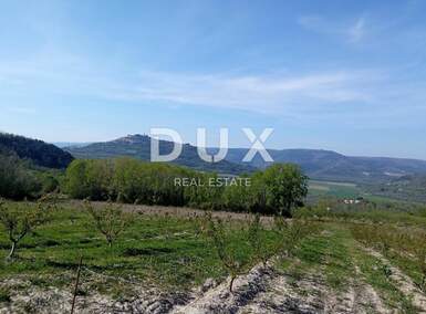 Zemljiste, Motovun, prodaja, 249000 €, 3597 m2
