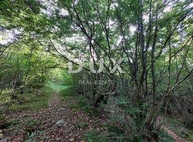 Zemljiste, Labin, prodaja, 58752 €, 13056 m2