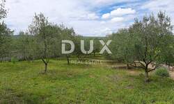 Zemljiste, Novigrad, Pridraga, prodaja, 85000 €, 1080 m2