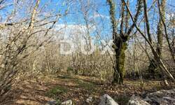 Zemljiste, Krk, prodaja, 89000 €, 6600 m2