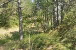 Kuca, Lupoglav, Lesišćina, prodaja, 169000 €, 198 m2