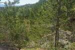 Kuca, Lupoglav, Lesišćina, prodaja, 169000 €, 198 m2