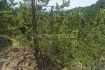 Kuca, Lupoglav, Lesišćina, prodaja, 169000 €, 198 m2