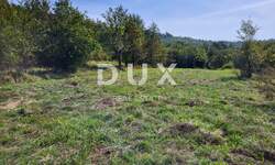 Zemljiste, Buzet, Hum, prodaja, 46000 €, 8727 m2