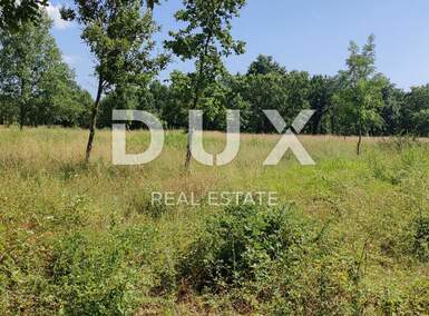 Zemljiste, Višnjan, Žikovići, prodaja, 560000 €, 5937 m2