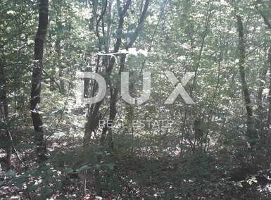 Zemljiste, Svetvinčenat, prodaja, 10000 €, 4754 m2