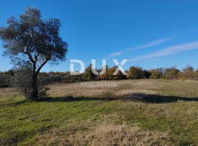 Zemljiste, Svetvinčenat, Butkovići, prodaja, 50000 €, 5864 m2