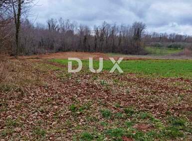 Zemljiste, Barban, prodaja, 52000 €, 11669 m2