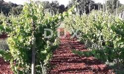 Zemljiste, Rovinj, prodaja, 500000 €, 15966 m2