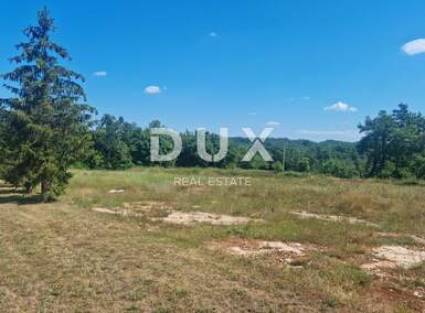 Zemljiste, Tinjan, Kringa, prodaja, 850000 €, 18000 m2