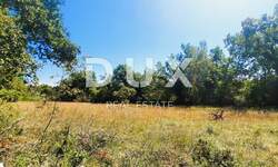 Zemljiste, Grožnjan, Završje, prodaja, 78000 €, 1000 m2