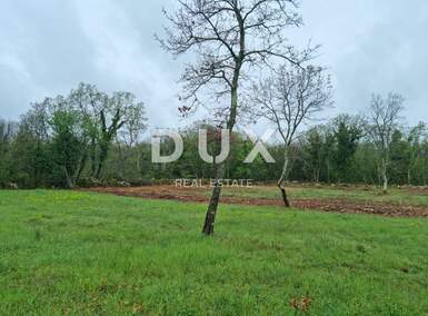 Zemljiste, Tinjan, Muntrilj, prodaja, 59000 €, 6161 m2