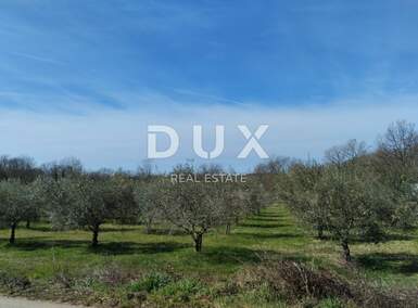 Zemljiste, Poreč, prodaja, 200000 €, 6419 m2