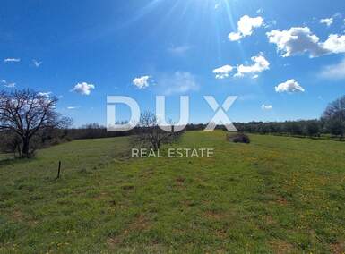 Zemljiste, Marčana, Cokuni, prodaja, 88500 €, 10956 m2