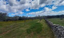 Zemljiste, Marčana, Cokuni, prodaja, 260000 €, 3352 m2