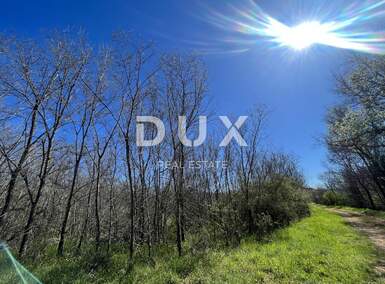 Zemljiste, Kaštelir-Labinci, Labinci, prodaja, 86450 €, 2470 m2