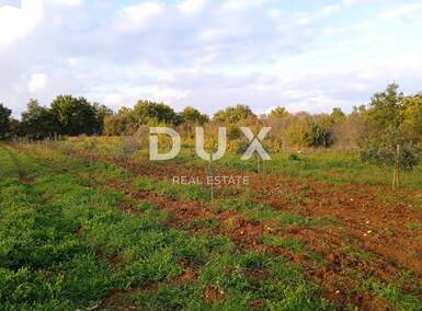 Zemljiste, Svetvinčenat, prodaja, 285000 €, 4618 m2